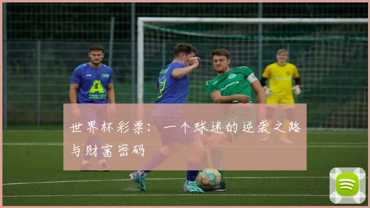 世界杯彩票：一个球迷的逆袭之路与财富密码