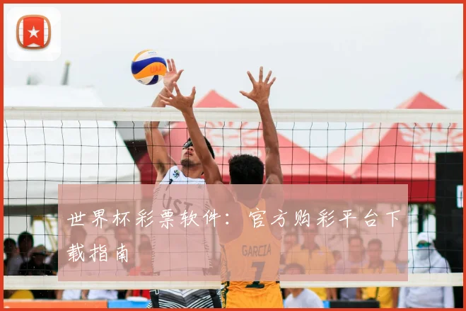 世界杯彩票软件：官方购彩平台下载指南