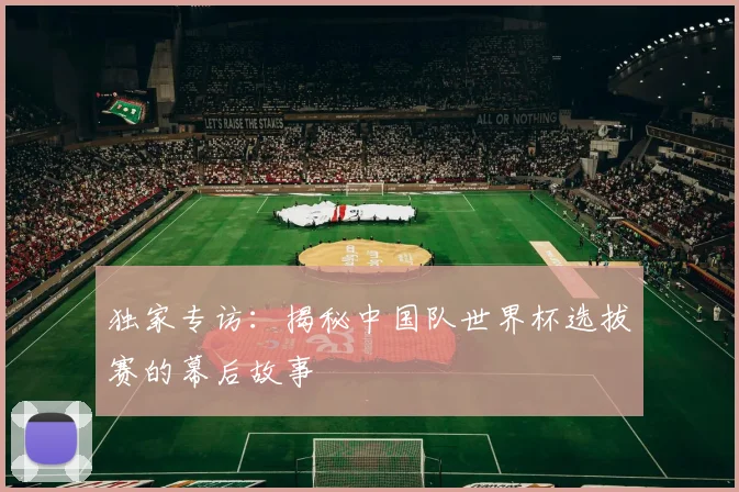 独家专访：揭秘中国队世界杯选拔赛的幕后故事