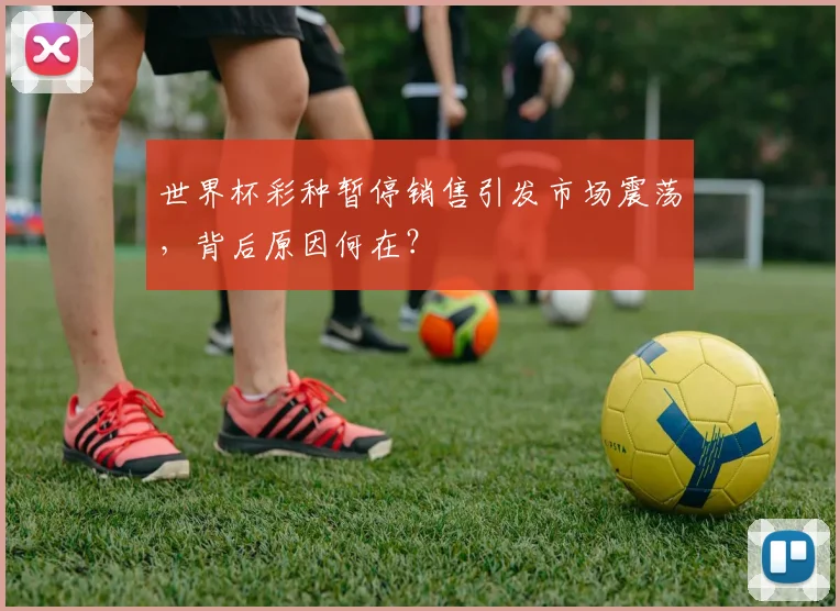 世界杯彩种暂停销售引发市场震荡，背后原因何在？
