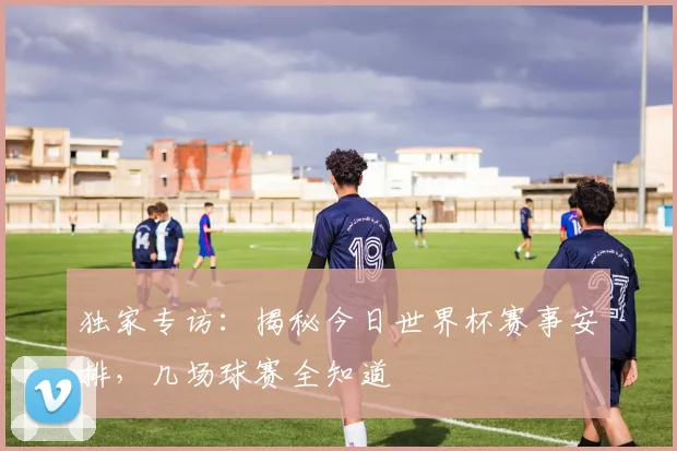 独家专访：揭秘今日世界杯赛事安排，几场球赛全知道